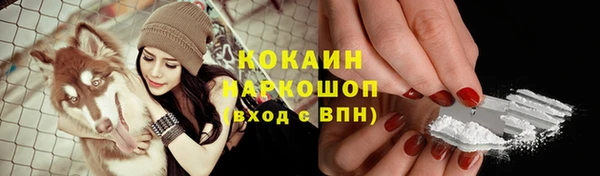 сатива Нея