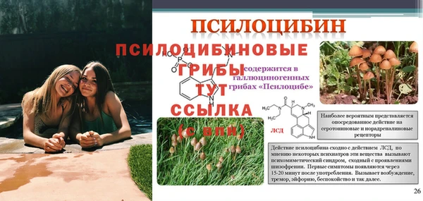 спайс Надым