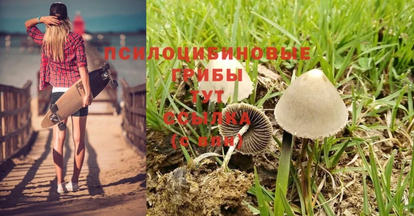спайс Надым